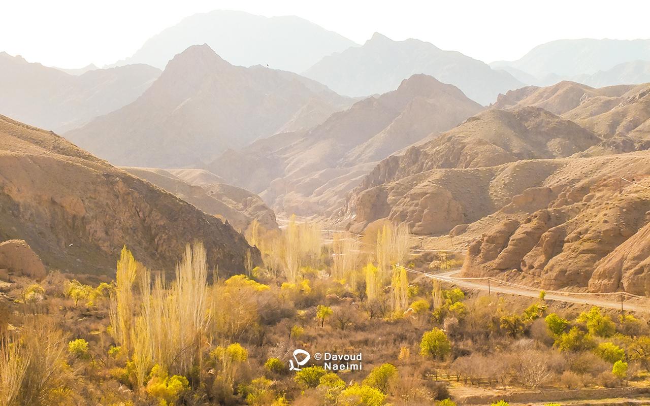 داود نعیمی، عکاس پرتره، عکاس تهران، عکاسی پرتره نقاشی گونه