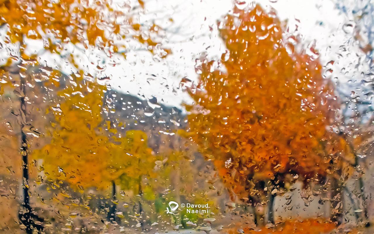 داود نعیمی، عکاس پرتره، عکاس تهران، عکاسی پرتره نقاشی گونه